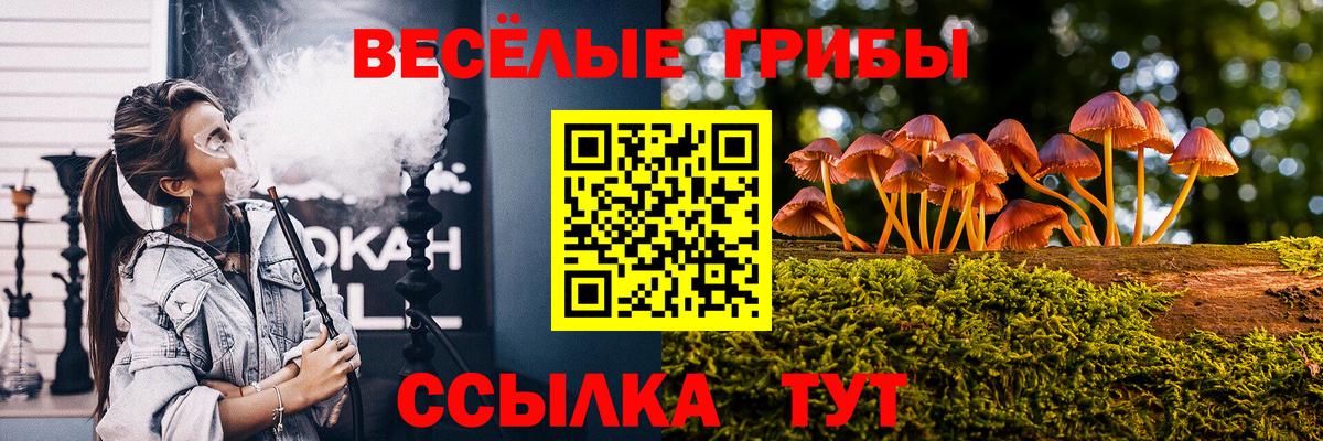 Псилоцибиновые грибы Psilocybine cubensis  Псилоцибиновые грибы Psilocybine cubensis  Вход с VPN  Сорочинск 